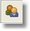 apptviews new1