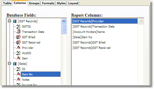reportbuilder19