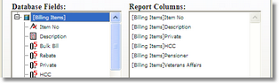 reportbuilder22